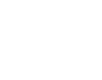Saniglobal logo